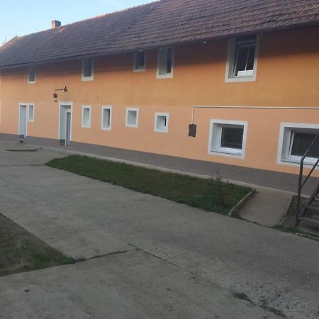 Ubytovani Fish-Com Apartment Štětí Bagian luar foto