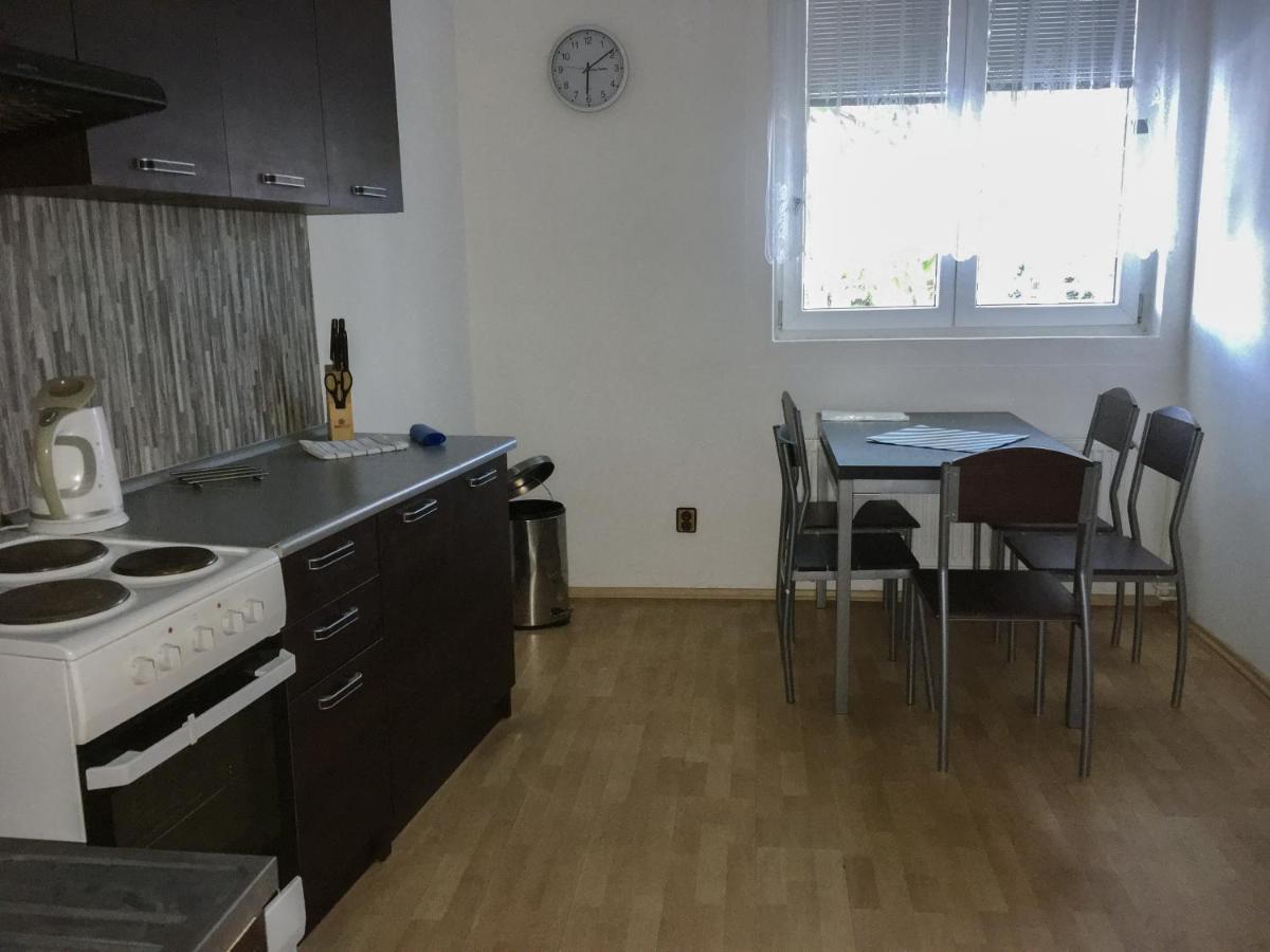 Ubytovani Fish-Com Apartment Štětí Bagian luar foto