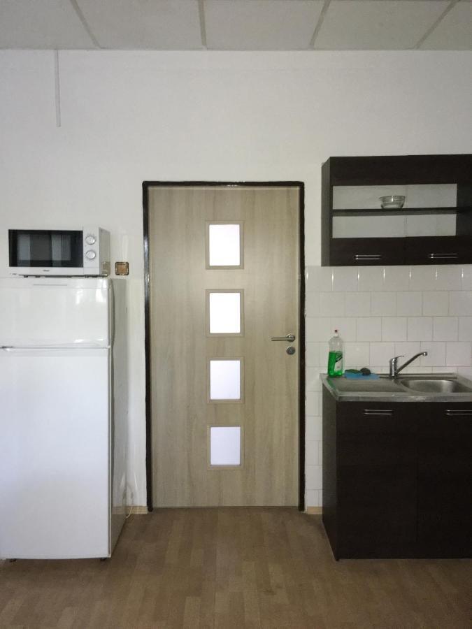 Ubytovani Fish-Com Apartment Štětí Bagian luar foto