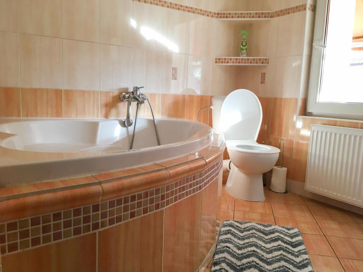 Ubytovani Fish-Com Apartment Štětí Bagian luar foto